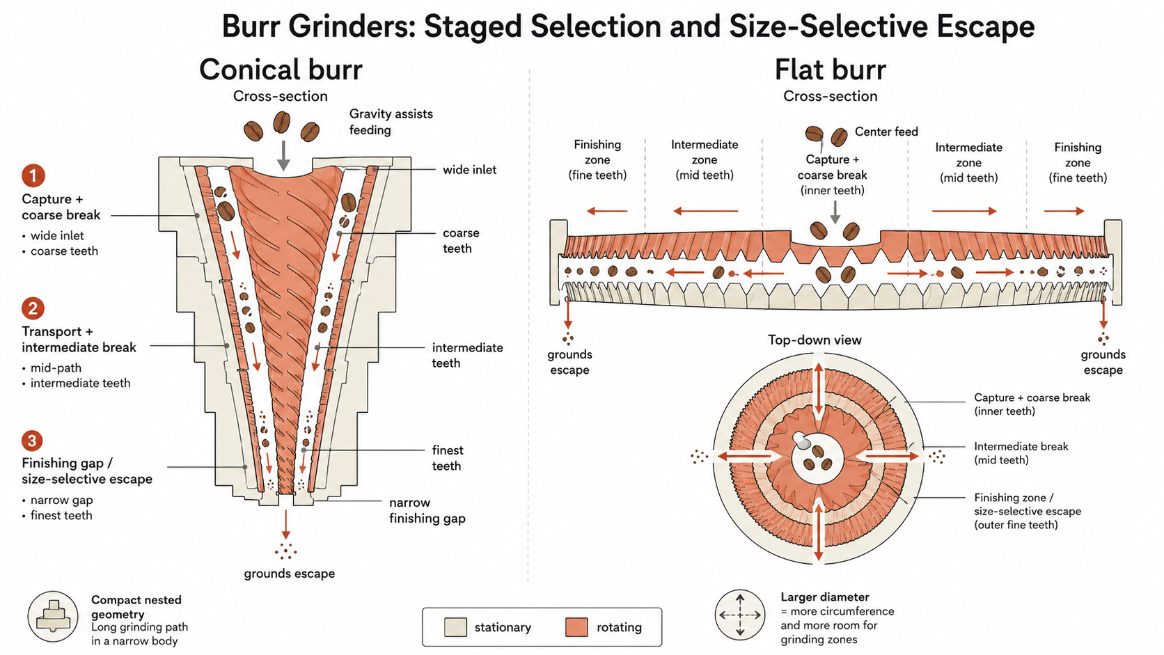 Conical and flat burr geometries